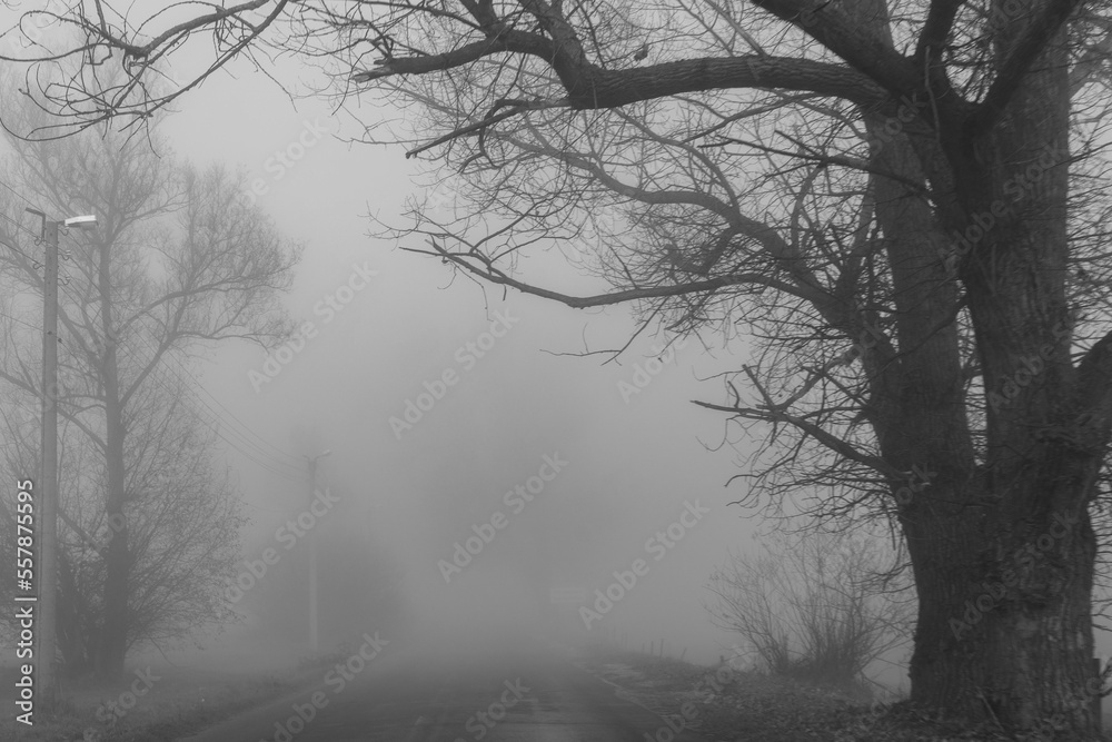 Travel to the town of Koprivshtitsa in Bulgaria during fog Travel to the town of Koprivshtitsa in Bulgaria during fog