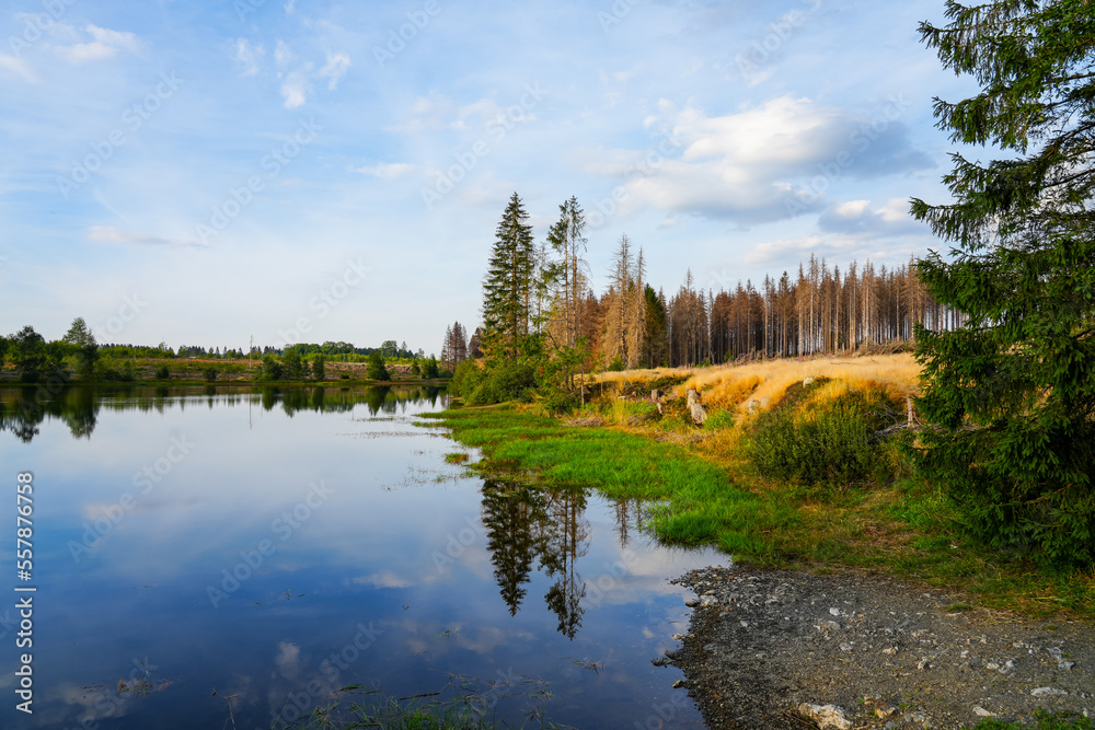 Fototapeta premium Nature at the Oberer Nassenwieser Teich in the Harz Mountains, near Clausthal-Zellerfeld. View of the pond with the idyllic autumn landscape.