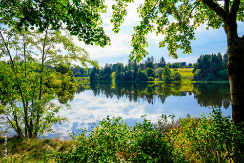 Nature at the Oberer Eschenbacher Teich near Clausthal-Zellerfeld. Landscape at the lake in the Harz Mountains with the surrounding green nature.
 photo