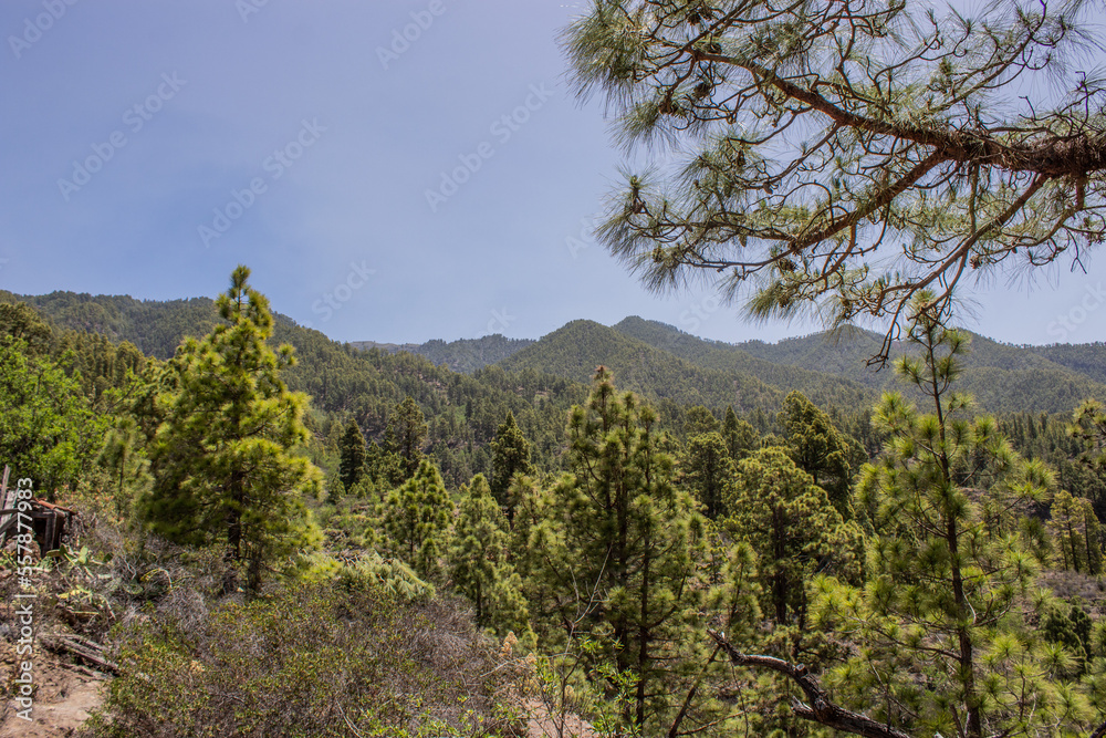 La Palma, Canarias