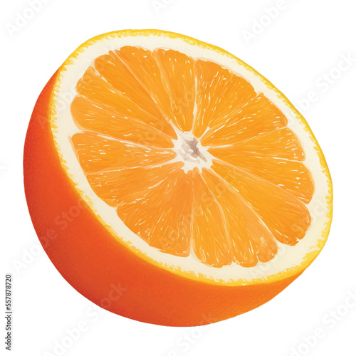 orange slice hand drawn with watercolor painting style illustration