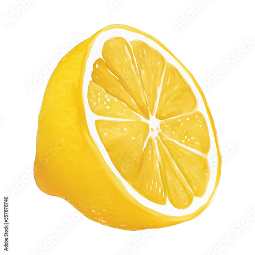 lemon slice hand drawn with watercolor painting style illustration