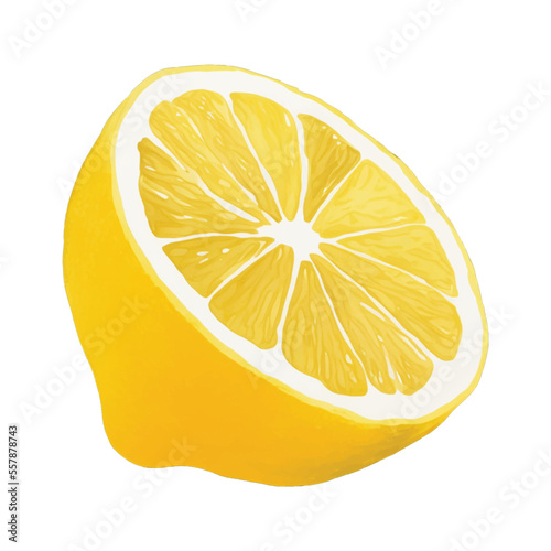 lemon slice hand drawn with watercolor painting style illustration