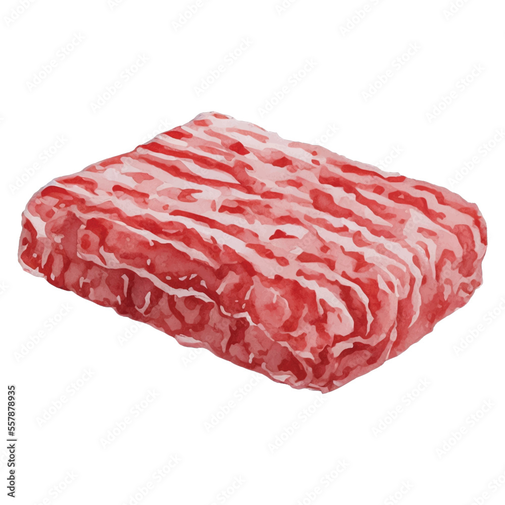 minced meat hand drawn with watercolor painting style illustration minced meat hand drawn with watercolor painting style illustration