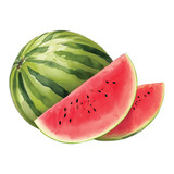 watermelon hand drawn with watercolor painting style illustration