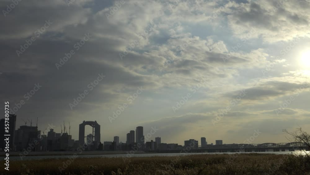 Osaka Umeda City, beautiful scenery of silver grass field on the Yodo River Osaka Umeda City, beautiful scenery of silver grass field on the Yodo River