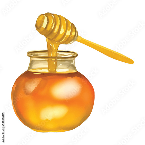 honey hand drawn with watercolor painting style illustration