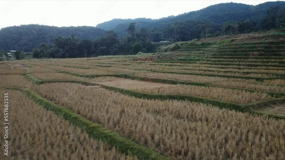 Beautiful aerial view of Ban Mae Klang Luang, A mountainside village and beautiful rice fields located in Chiang Mai, THAILAND. Beautiful aerial view of Ban Mae Klang Luang, A mountainside village and beautiful rice fields located in Chiang Mai, THAILAND.
