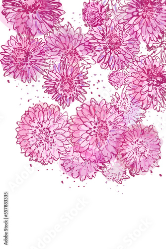 Daisy flower vintage watercolor vector template isolated