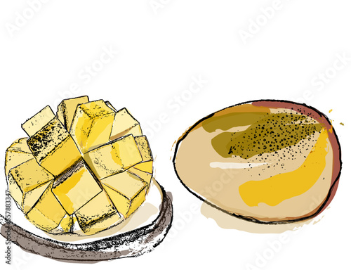 Vintage mango watercolor vector