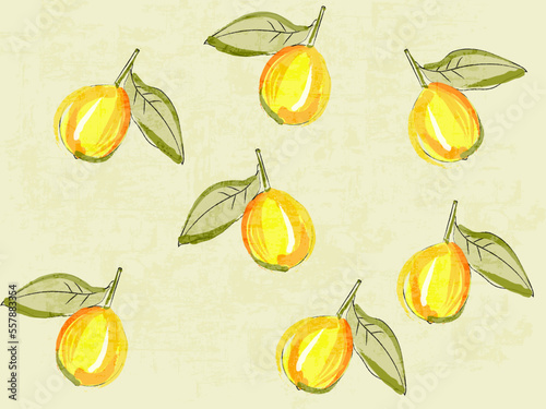 Lemon pattern vector texture. Fresh fruits vintage design