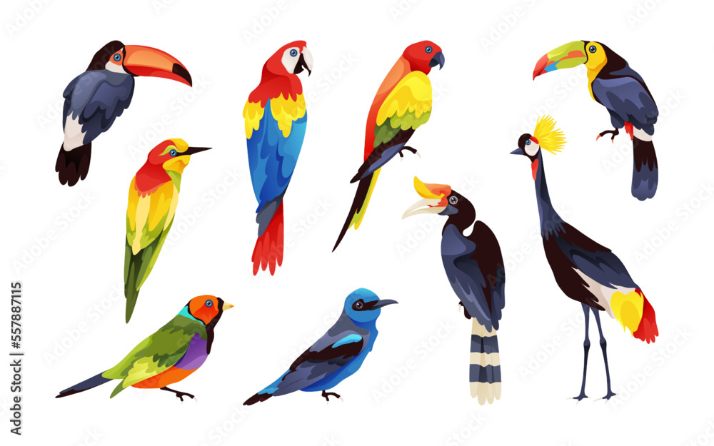 Obraz premium Exotical birds set, vector icons or cliparts.