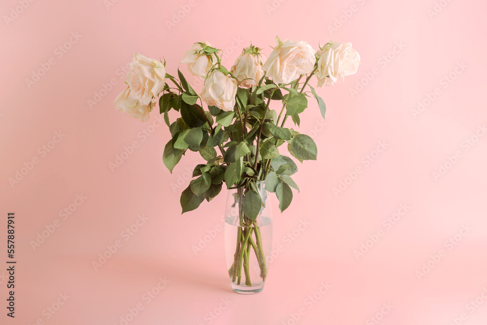 Fototapeta premium Large bouquet of pink roses in a vase on a pink background.