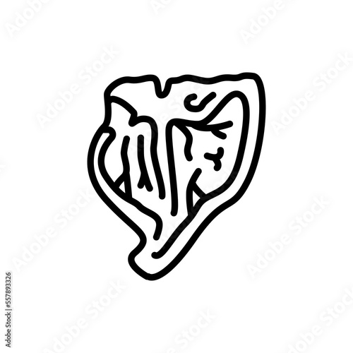 Steak beef porterhouse color line icon. Cutting meat.