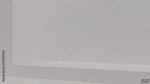Abstract white and gradient light background with studio backdrops. White Blank display or clean room for showing product. White background. Vector illustration.