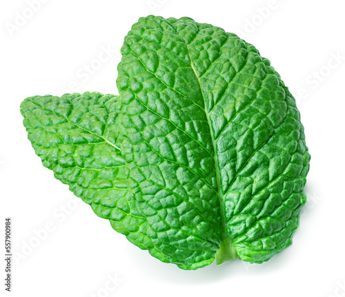 Fresh spearmint leaves isolated on the white background. Mint leaf, peppermint close up. Flat lay. Food  macro concept..