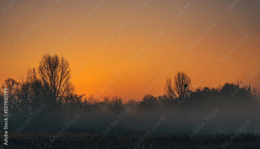 Naklejka premium Magic sunrise