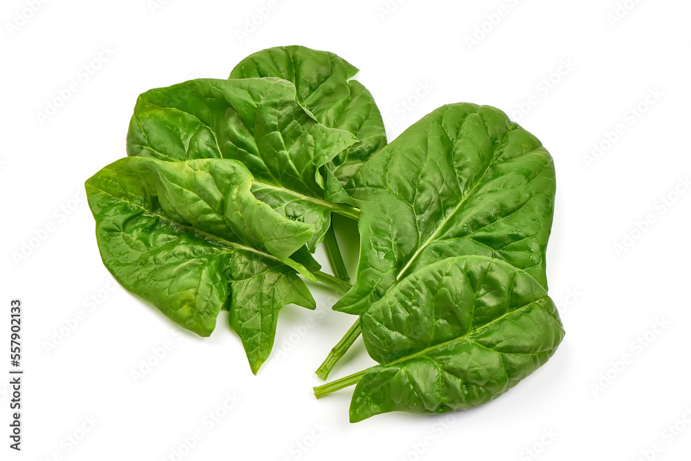 Spinach leaves, isolated on white background. High resolution image. Spinach leaves, isolated on white background. High resolution image.