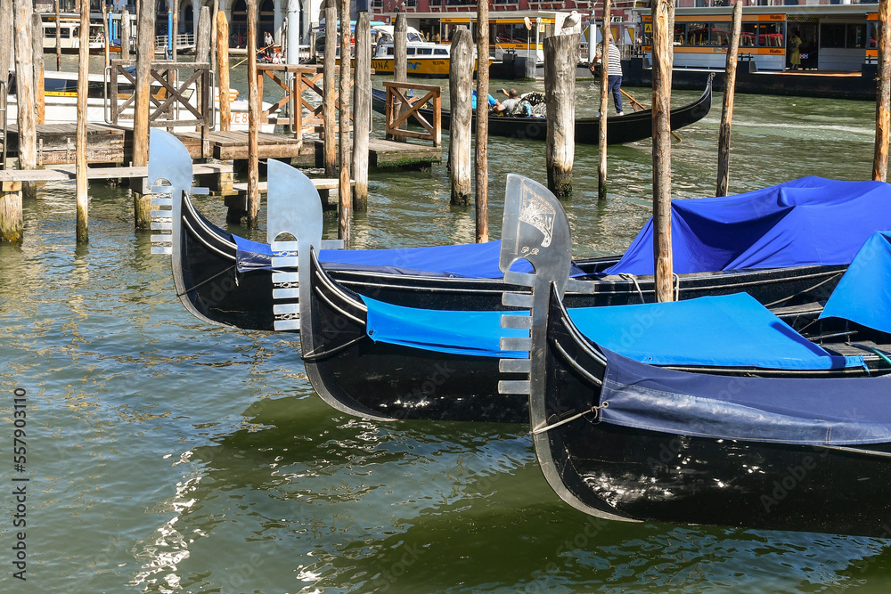 Detail of gondolas moored on the Grand Canal, Venice, Italy