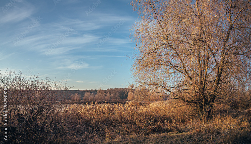 Fototapeta premium Winter sunrise on river
