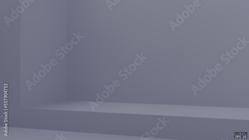 Abstract gray and gradient light background with studio backdrops. Gray Blank display or clean room for showing product. Grey background. Vector illustration.