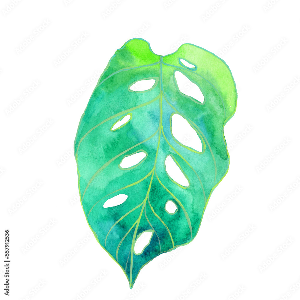 watercolor sheet green turquoise