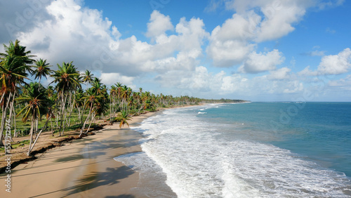 Wild tropical beach with high palm trees on the coast of the Caribbean sea 