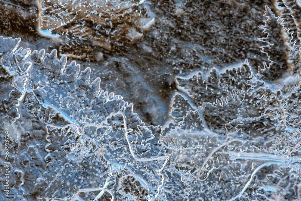 ice crystals on the river shot large ice crystals on the river shot large