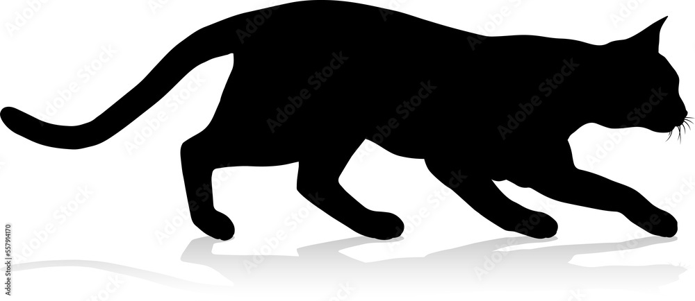 Silhouette Cat Pet Animal