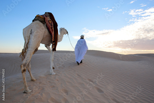 Photos Beduin walking in the Sahara with a mehari dromedary