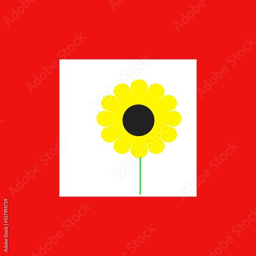 SUNFLOWER ILLUSTRATIONS IN PHOTOSHOP