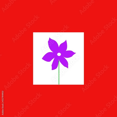 PURPLE FLOWER ILLUSTRATIONS IN PHOTOSHOP