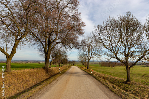 Empty country road in early spring