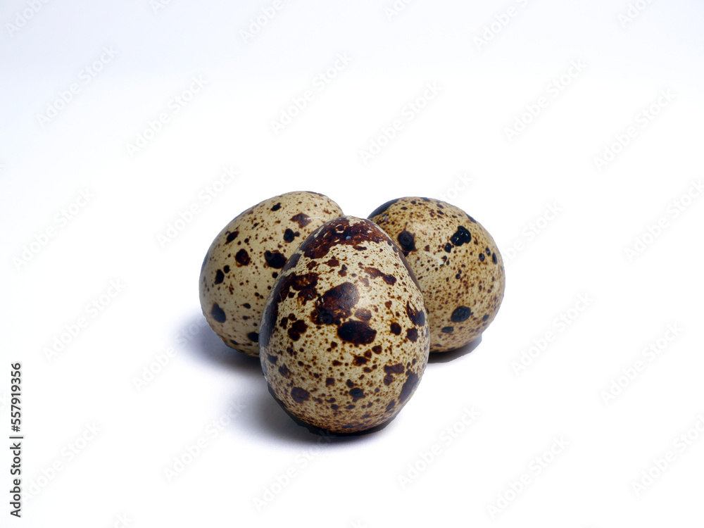 Quail eggs isolated on white background Quail eggs isolated on white background