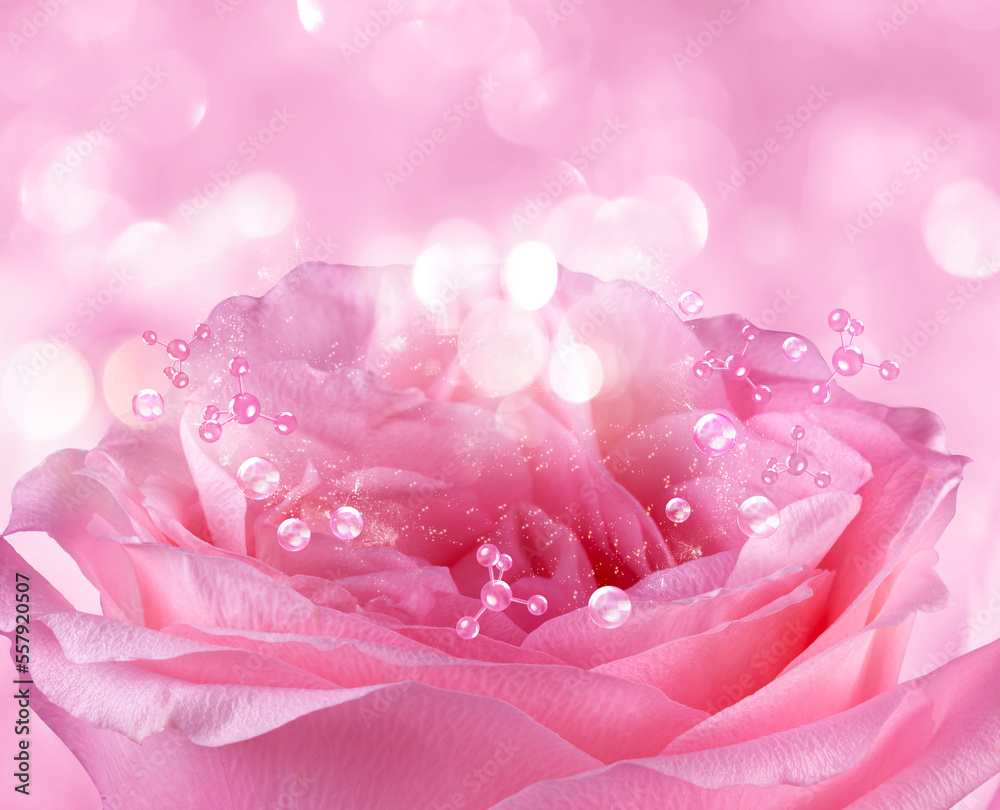 roses and bubble for cosmetics product roses and bubble for cosmetics product