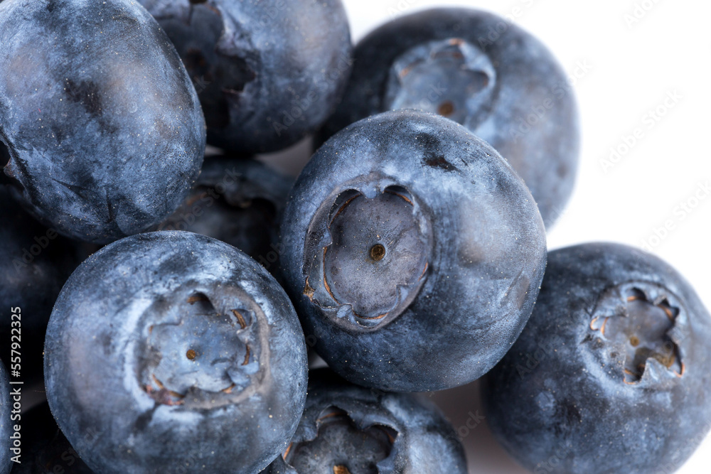 Blueberries on white background Blueberries on white background