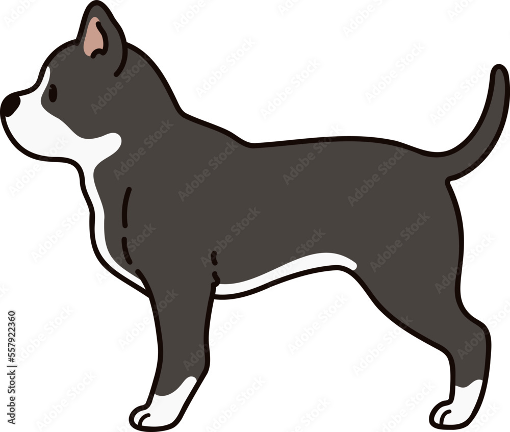 Simple and cute illustration of Pitbull in side view