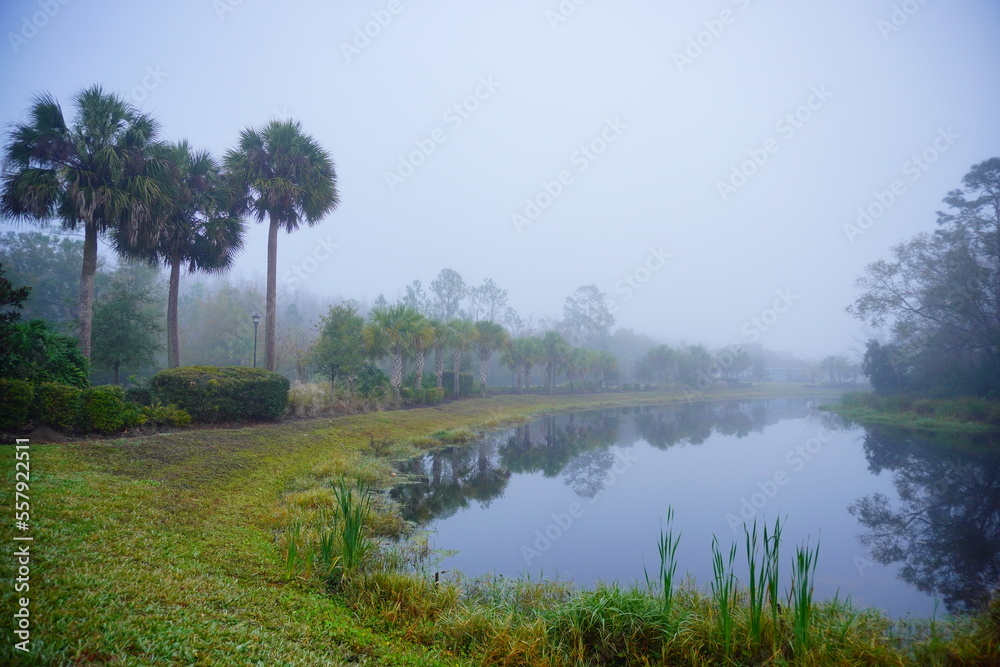 The winter fog landscape of Tampa Palms area in Florida