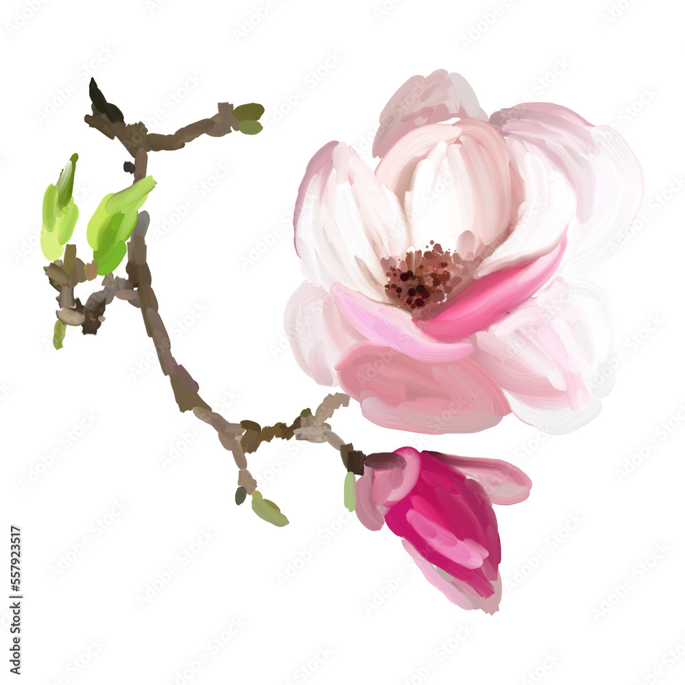 Naklejka premium Pink magnolia flower, blossom hand drawn flower