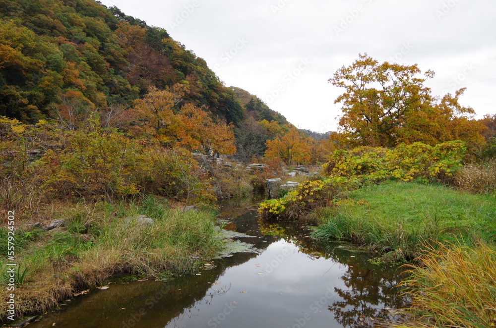 紅葉と小川