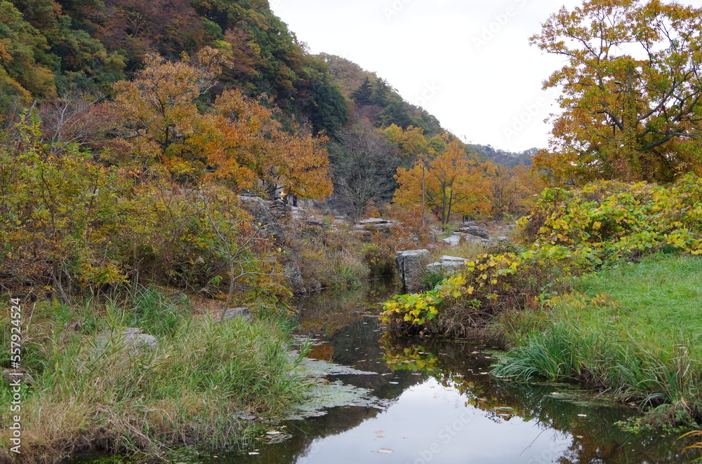 川辺の紅葉 川辺の紅葉
