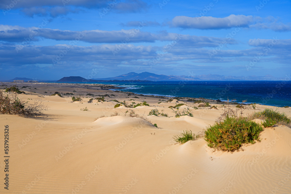 Ripples in the sand of the dunes of the Corralejo Natural Park in the north of Fuerteventura in the Canary Islands, Spain - View of Lanzarote across the Atlantic Ocean