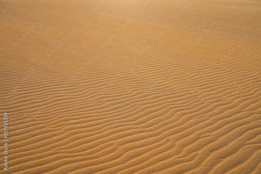 Ripples in the sand of the dunes of the Corralejo Natural Park in the north of Fuerteventura in the Canary Islands, Spain - Desert arid landscape with scattered shrubs in endless sand Ripples in the sand of the dunes of the Corralejo Natural Park in the north of Fuerteventura in the Canary Islands, Spain - Desert arid landscape with scattered shrubs in endless sand