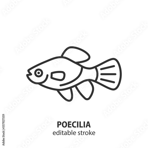 Poecilia line icon. Southern platyfish vector sign. Aquarium fish symbol. Editable stroke.