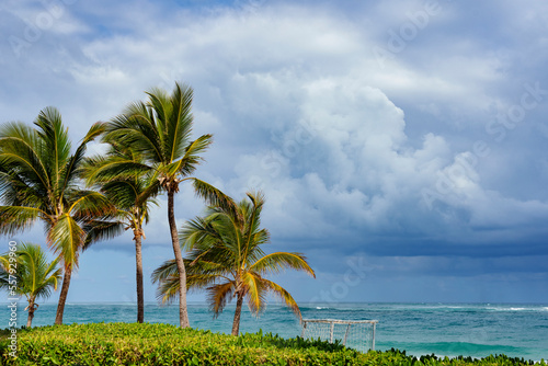 Bavaro Beach in Punta Cana