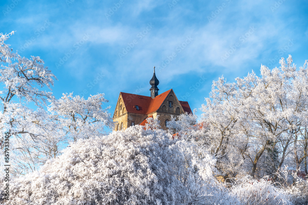 Traumhaft schönes Schloss zwischen schneebedeckten Bäumen in Seeburg im Mansfelder Land