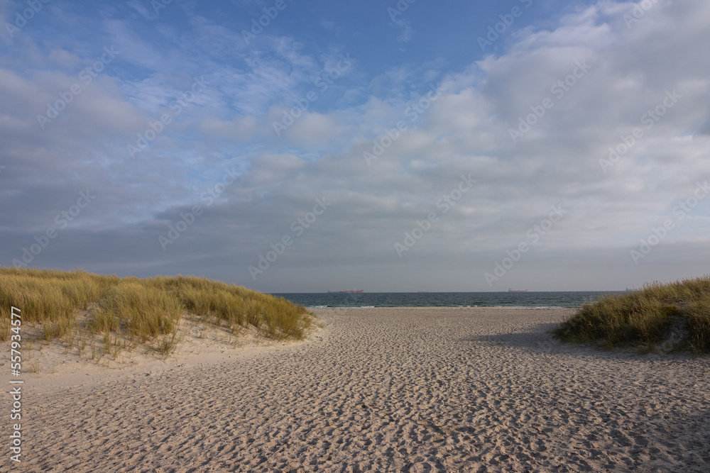 Dünen am Sønderstrand Skagen, Nordjütland, Dänemark 