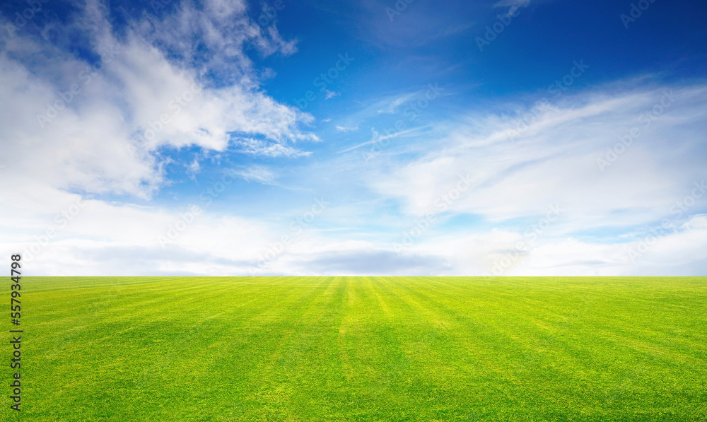 Beautiful minimalist idyllic natural landscape with green mowed grass meadow and blue textured sky with white clouds.