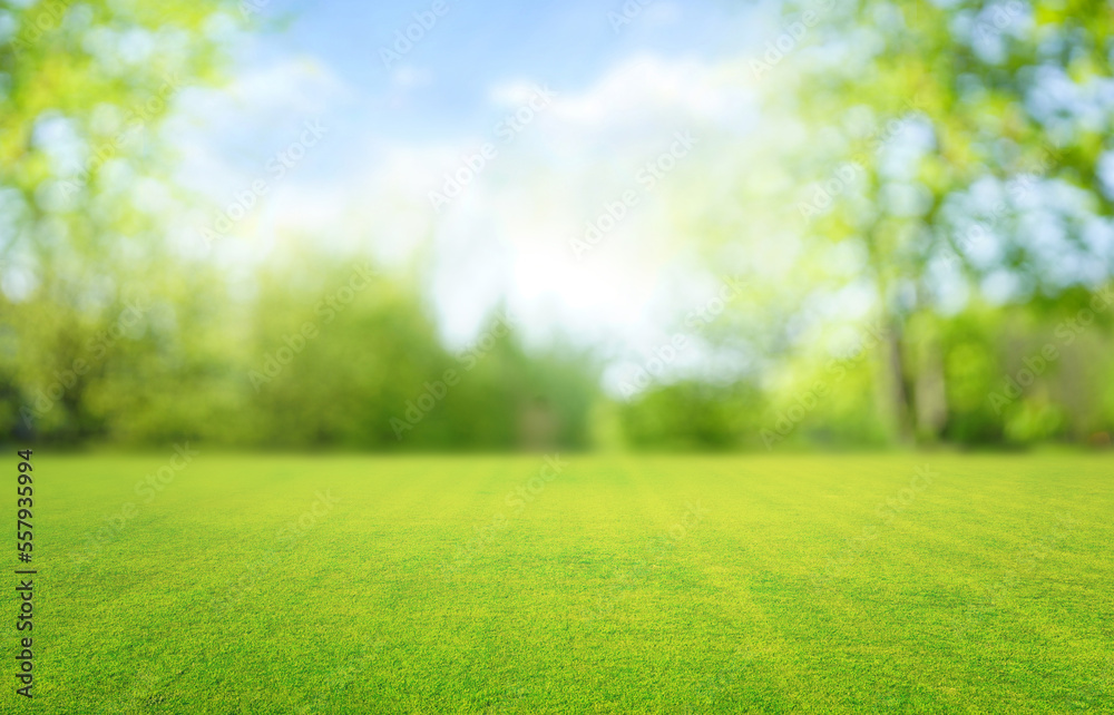 Fototapeta premium Beautiful blurred background image of spring nature with a neatly trimmed lawn surrounded by trees against a blue sky with clouds on a bright sunny day.