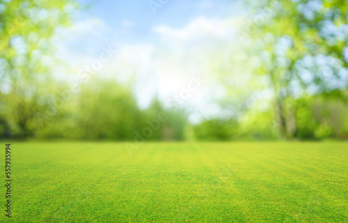 Tela Beautiful blurred background image of spring nature with a neatly trimmed lawn surrounded by trees against a blue sky with clouds on a bright sunny day